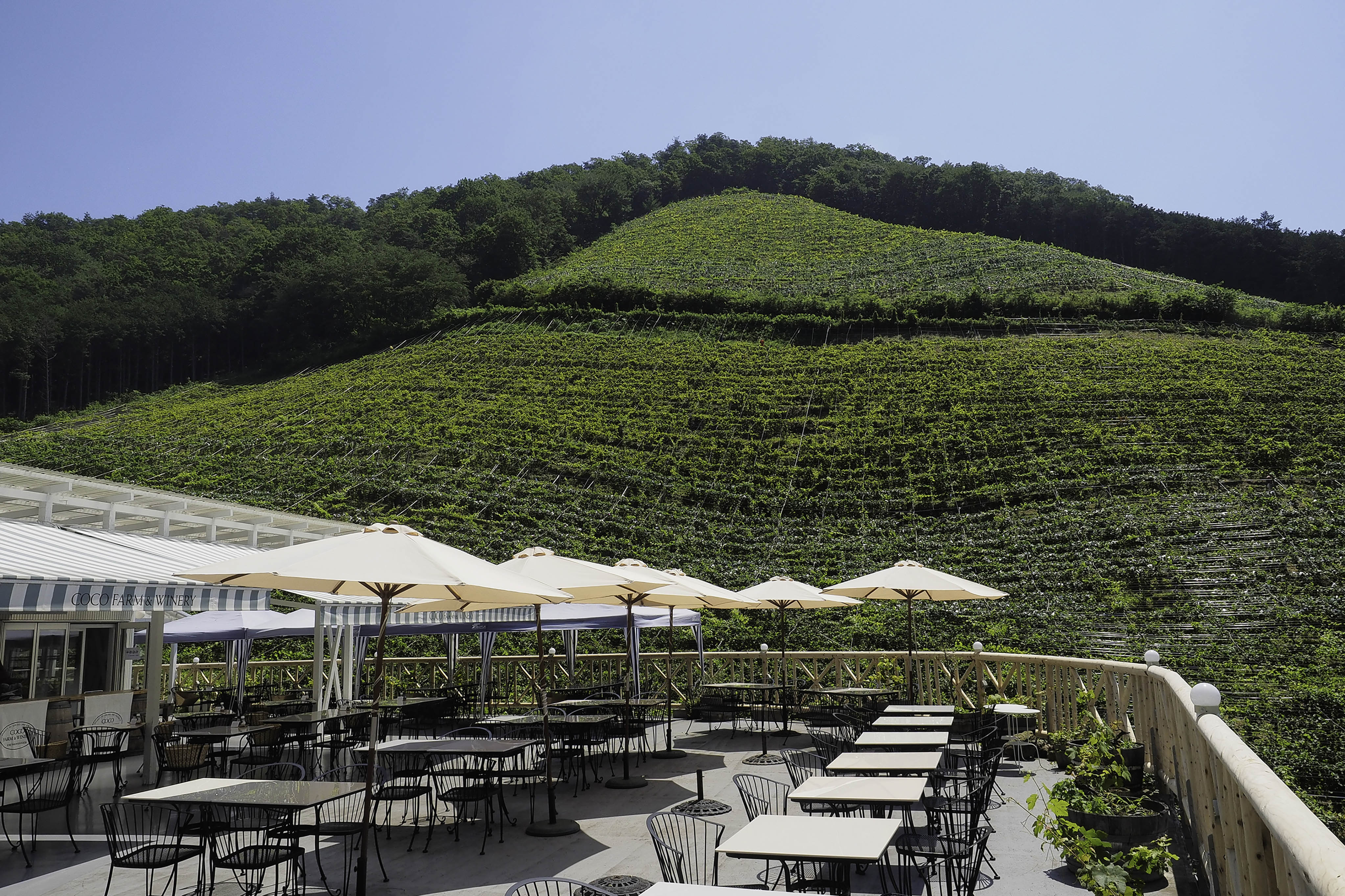 Coco Farm & Winery
