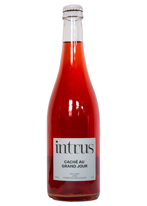 Cidre Intrus, 'Caché au Grand Jour' (2022)