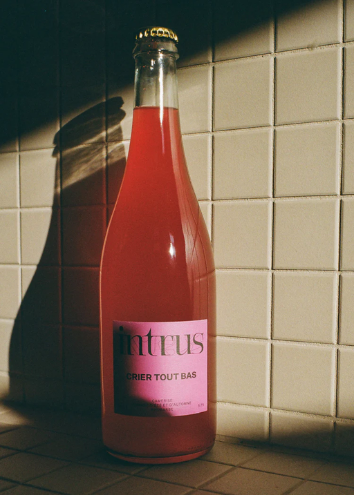 Cidre Intrus, 'Crier Tout Bas' (2022)