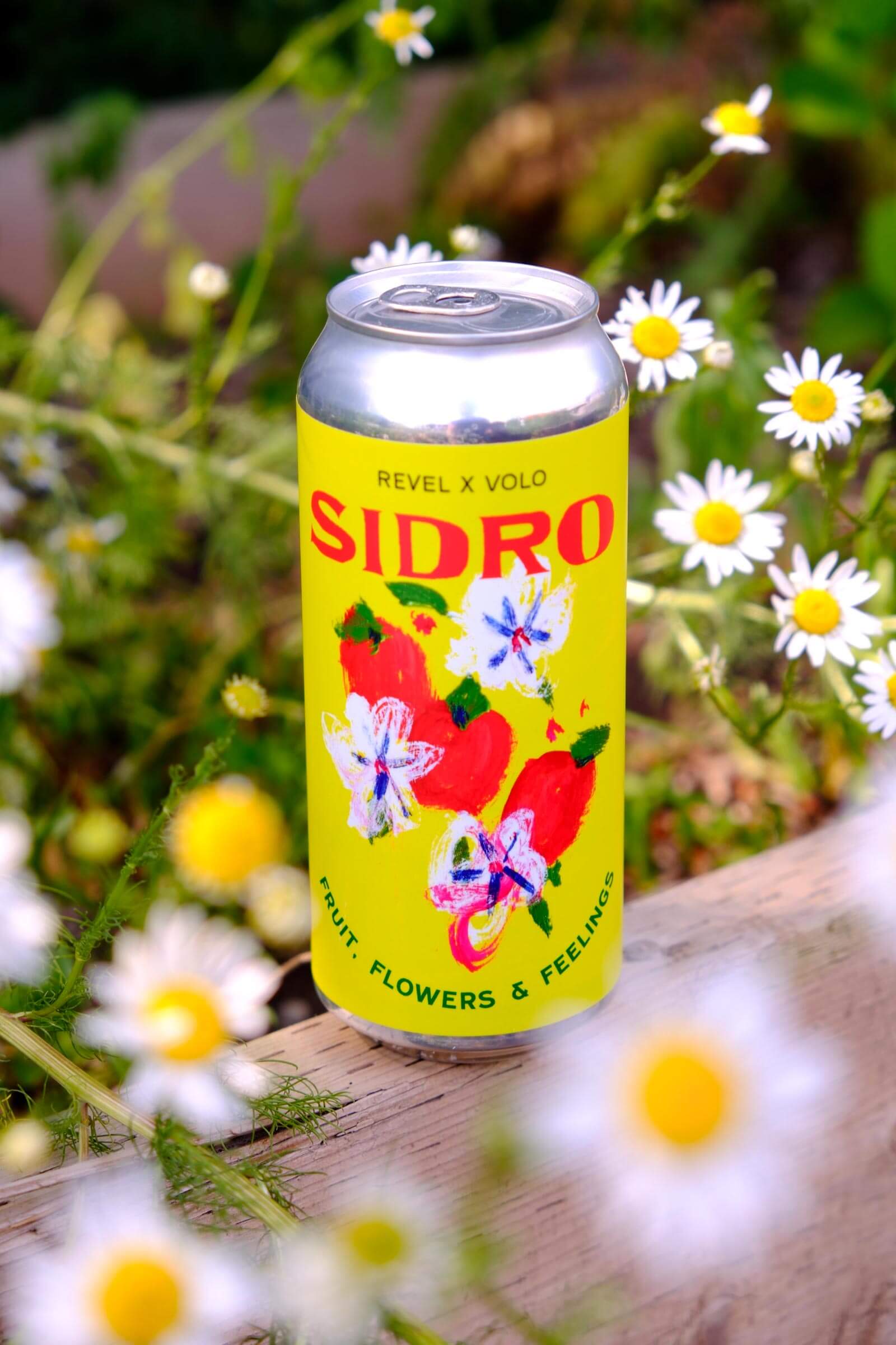 Sidro NV